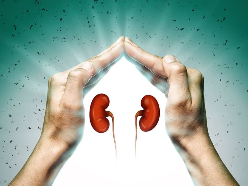 Order Up an Organ in a Lab — Coming Soon